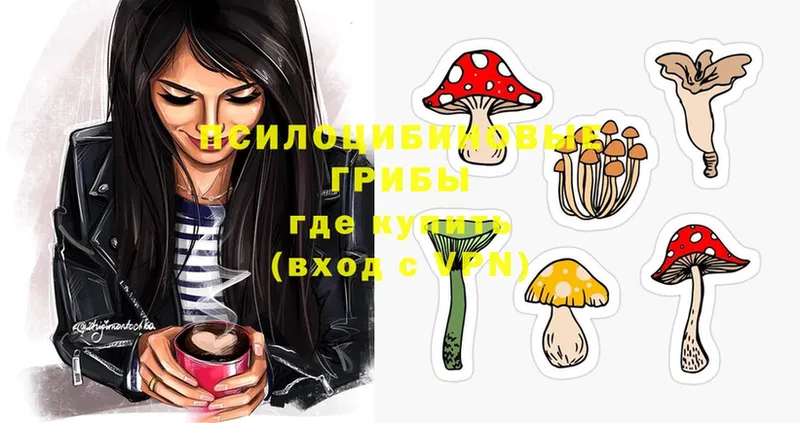 Псилоцибиновые грибы Magic Shrooms  как найти закладки  Красногорск 